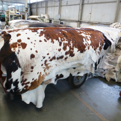 Wholesale Eco-friendly brown and white speckled cowhides