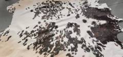Wholesale Eco-friendly tricolor speckled cowhides