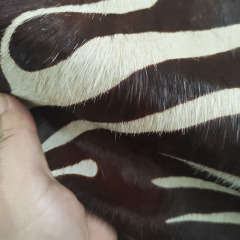 Wholesale Eco-friendly zebra print cowhides