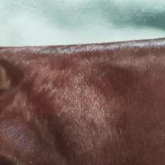 Wholesale Eco-friendly brown hair on cowhides