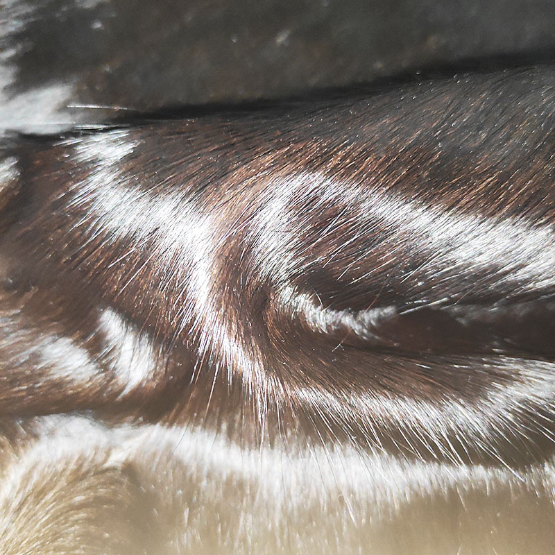 Wholesale Eco-friendly brown hair on cowhides