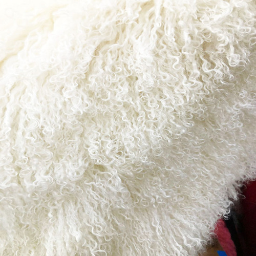 Wholesale nature Mongolian curly sheep lamb fur skin rug