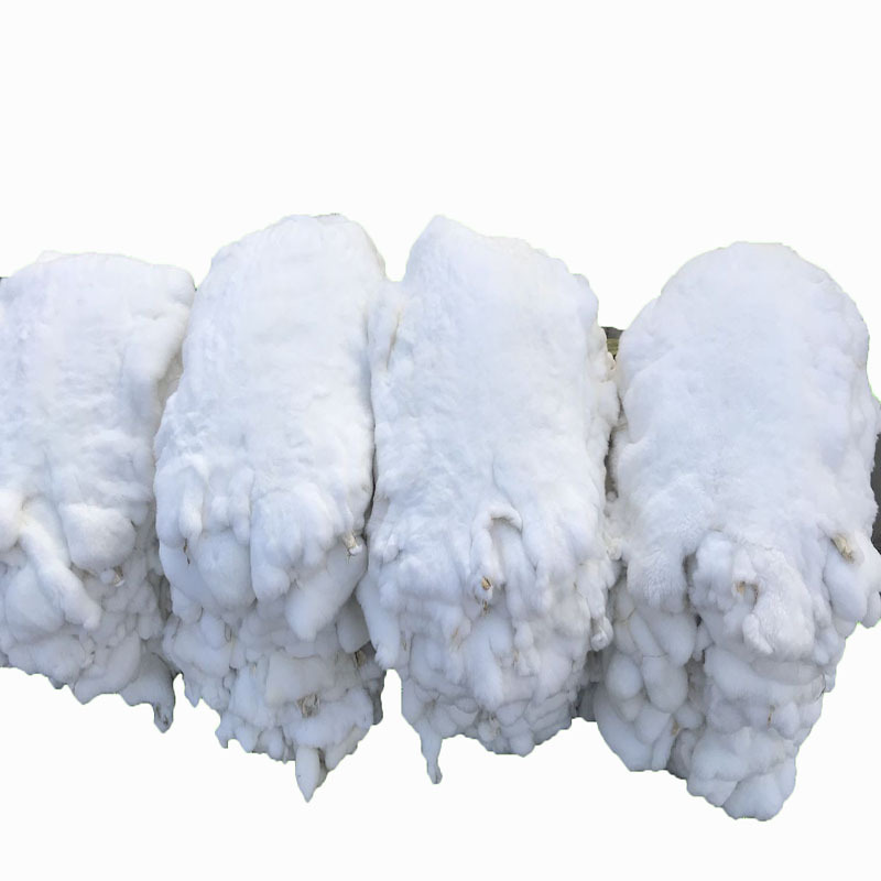 Wholesale nature rex rabbit skin pelt