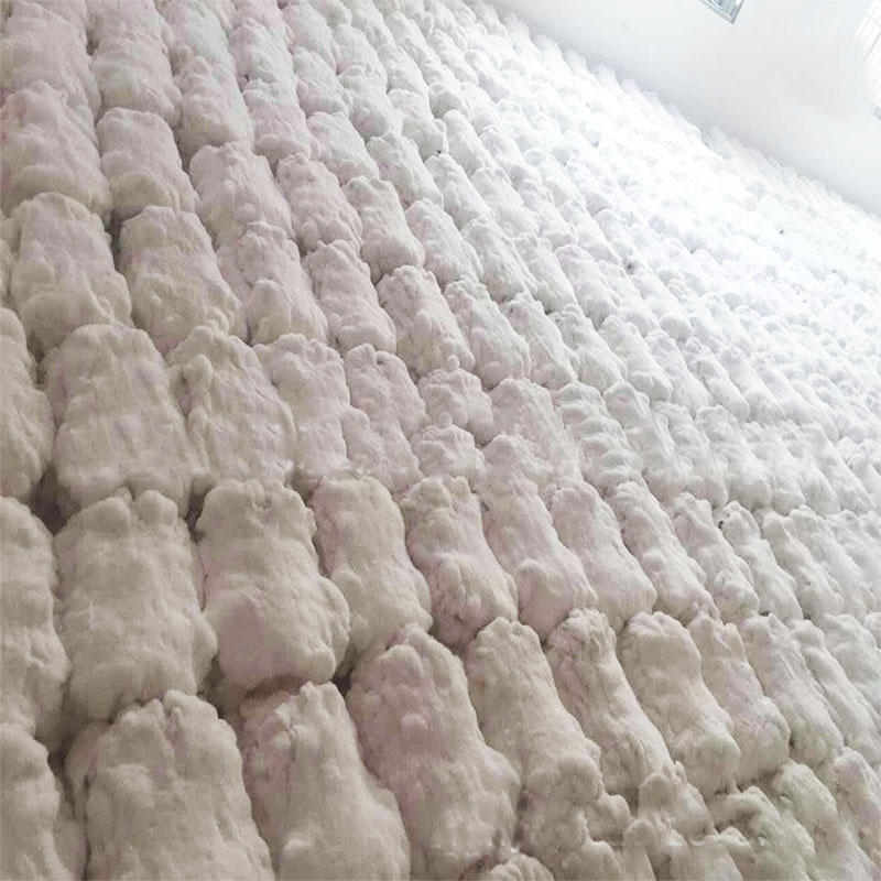 Wholesale nature rex rabbit skin pelt