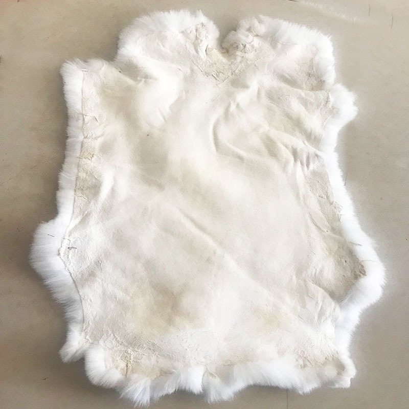Wholesale nature rex rabbit skin pelt