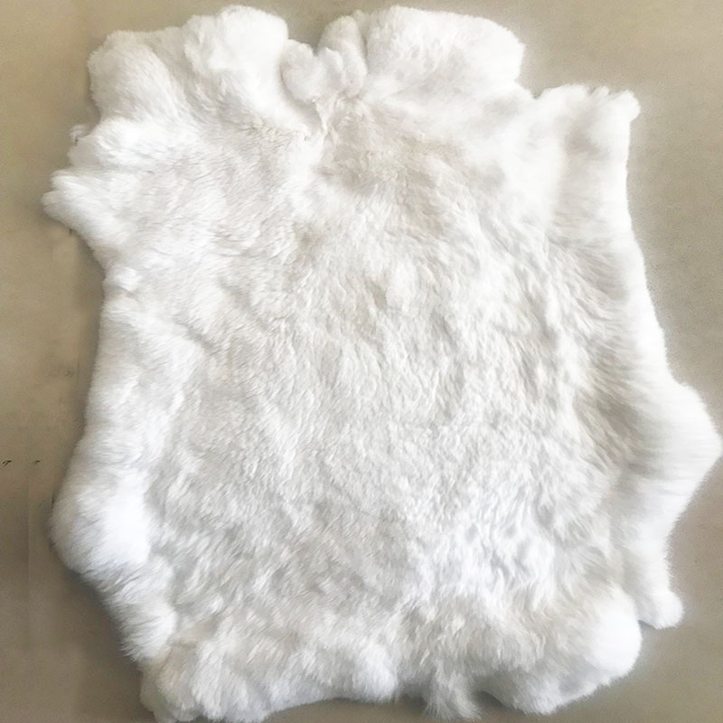 Wholesale nature rex rabbit skin pelt