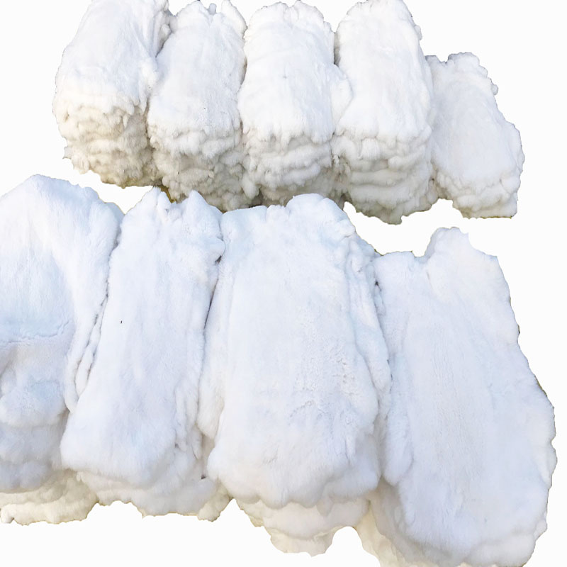 Wholesale nature rex rabbit skin pelt
