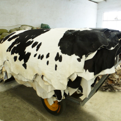 Wholesale black and white hair on cowhides