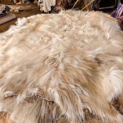 Tibetan White yak hide