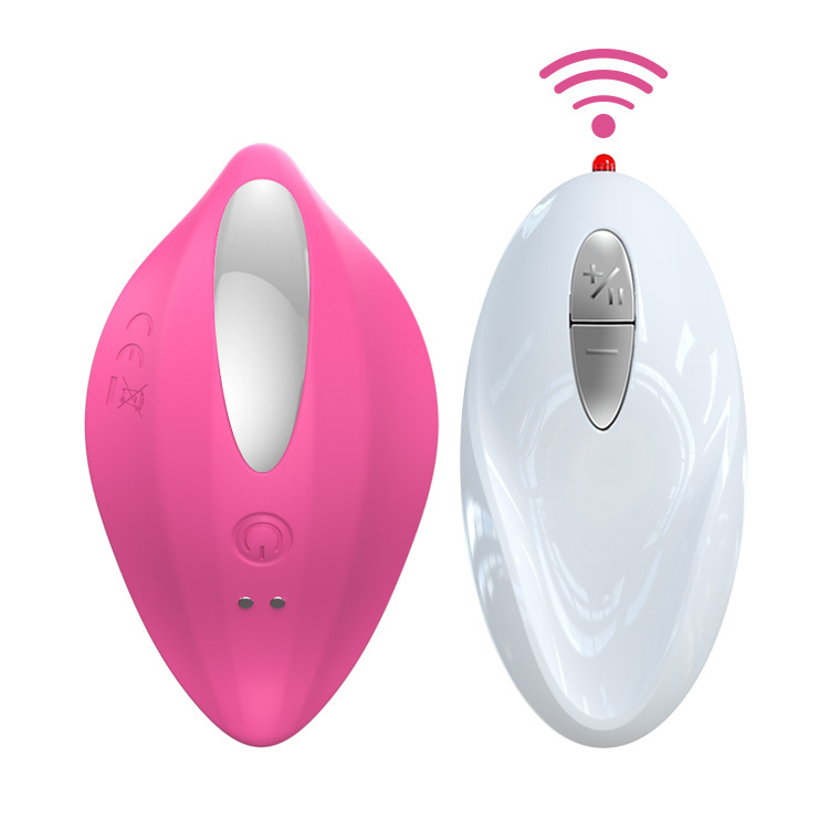 Remote control wearable vibrator