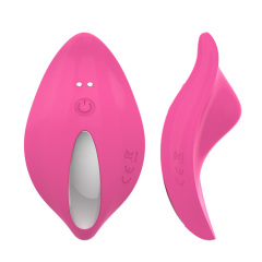 Remote control wearable vibrator
