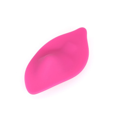 Remote control wearable vibrator