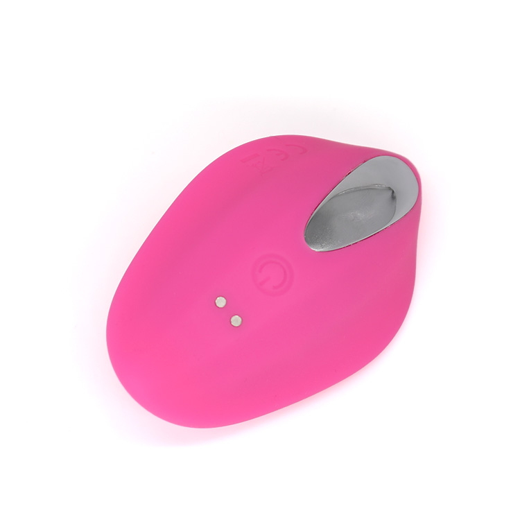 Remote control wearable vibrator