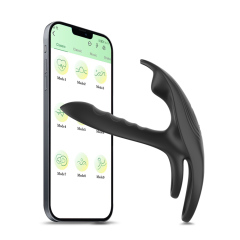 App controlled couple toy