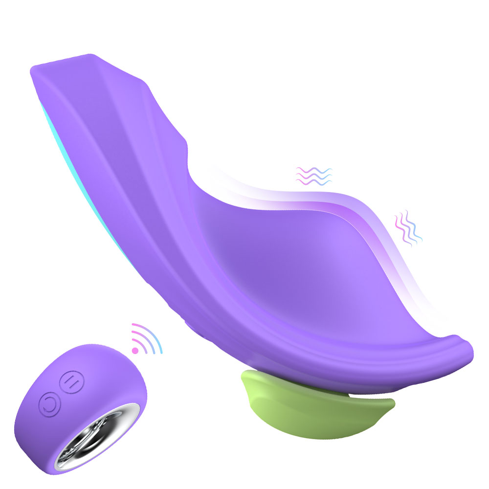 Couple panty vibrator with magnet remote contoller