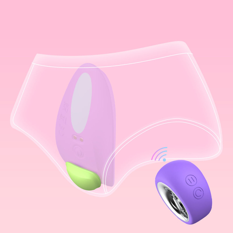 Couple panty vibrator with magnet remote contoller