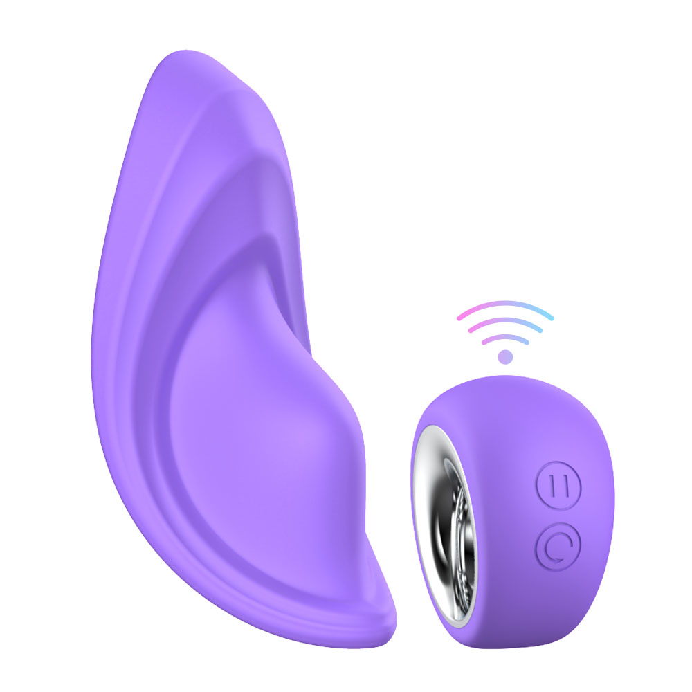 Couple panty vibrator with magnet remote contoller