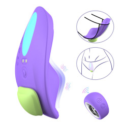 Couple panty vibrator with magnet remote contoller