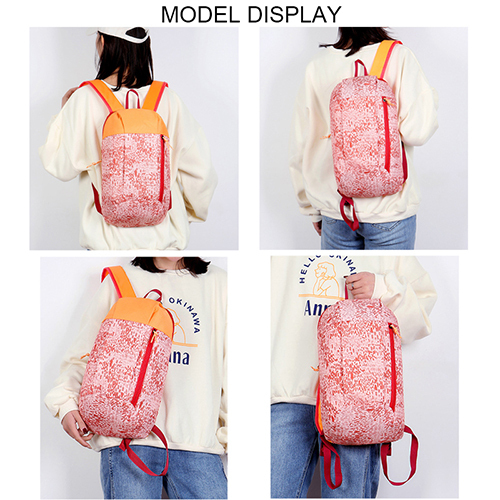 600D promotion backpack