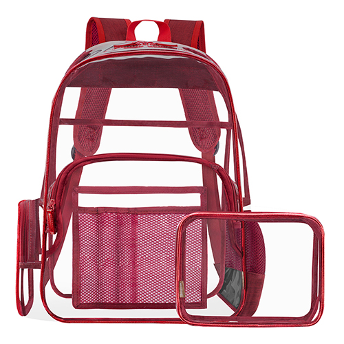 Transparent backpack with pouch