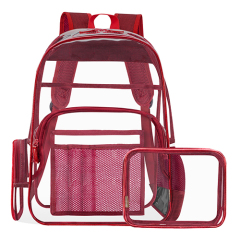 Transparent backpack with pouch