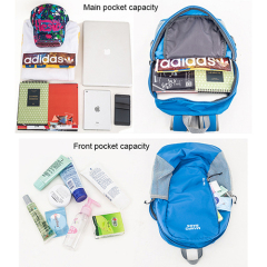 Promotion backpack with laptop interlayer