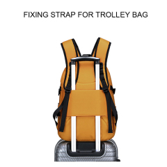 Fashion multicolor backpack