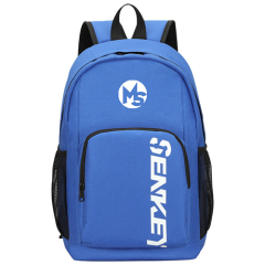 Cheaper backpack with security pocket