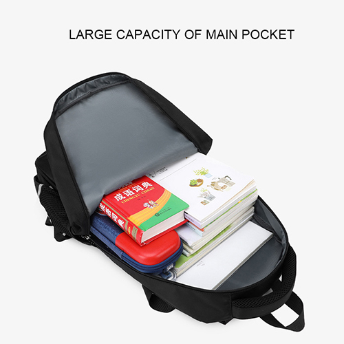 Daily backpack with laptap interlayer
