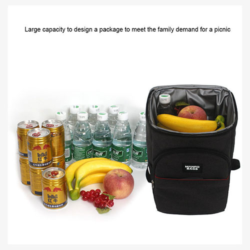 Lunch backpack