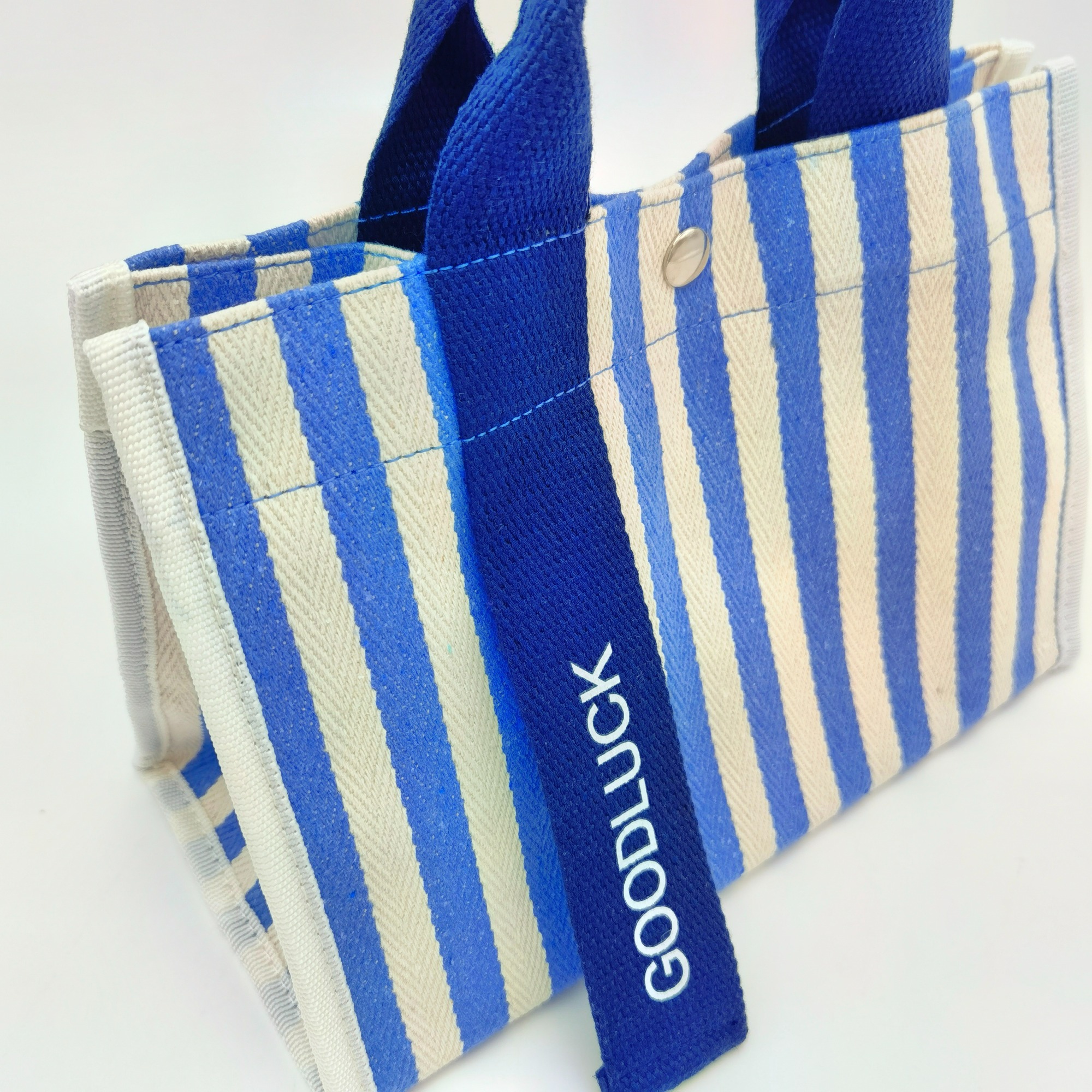 Stripe Canvas Tote Shopping Bag in Blue Strap