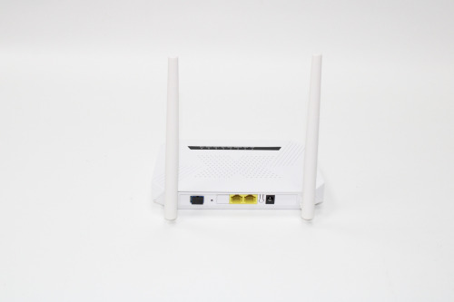 1GE+1FE+2.4G Wifi XPON ONU