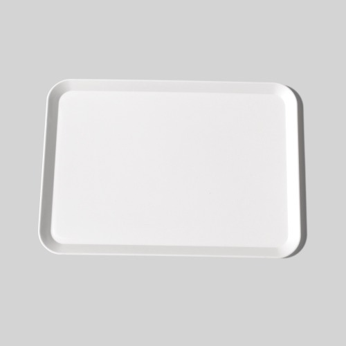Biodegradable PLA Tray