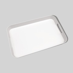Biodegradable PLA Tray