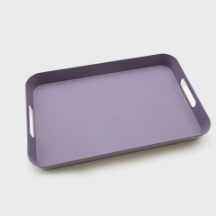 Biodegradable PLA Tray