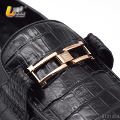 UT21254