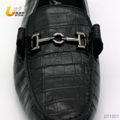 UT1001