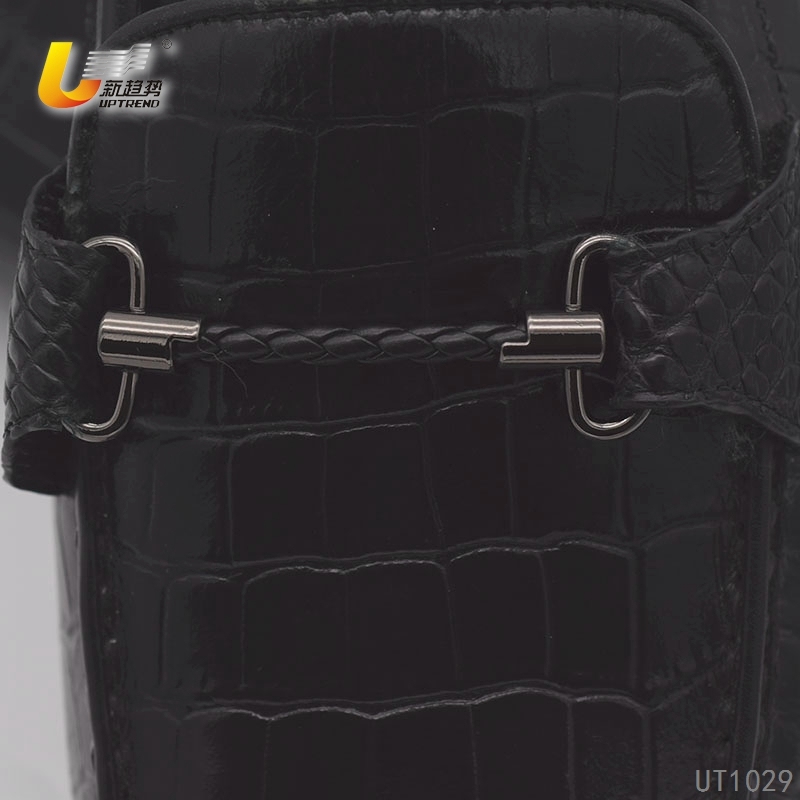 UT1029
