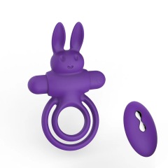 OR-YT013--Adult sex toys wireless remote control lock fine penis ring men's wear silicone charging vibration rabbit ring