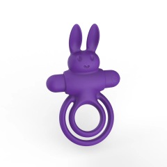 OR-YT013--Adult sex toys wireless remote control lock fine penis ring men's wear silicone charging vibration rabbit ring