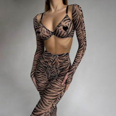 Z3243A--New women's leopard print mesh sexy perspective Shapewear underwear four sets