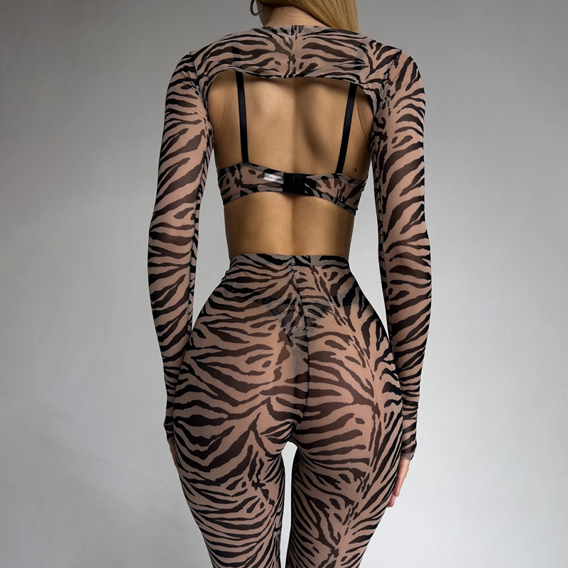 Z3243A--New women's leopard print mesh sexy perspective Shapewear underwear four sets