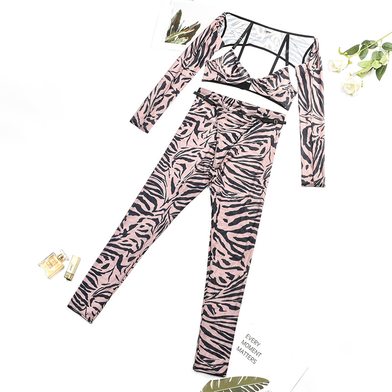 Z3243A--New women's leopard print mesh sexy perspective Shapewear underwear four sets