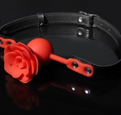 SS2042--SM props couple binding with mouth gag ball rose model adult sex toys sex toy