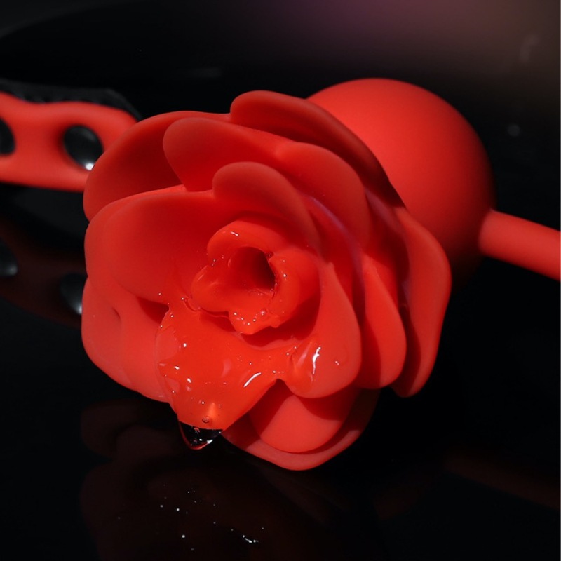SS2042--SM props couple binding with mouth gag ball rose model adult sex toys sex toy
