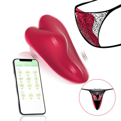 TD1115--APP Remote Love Magnetic Suction Wearable Panties Vibrator Women's Massage Masturbation Device