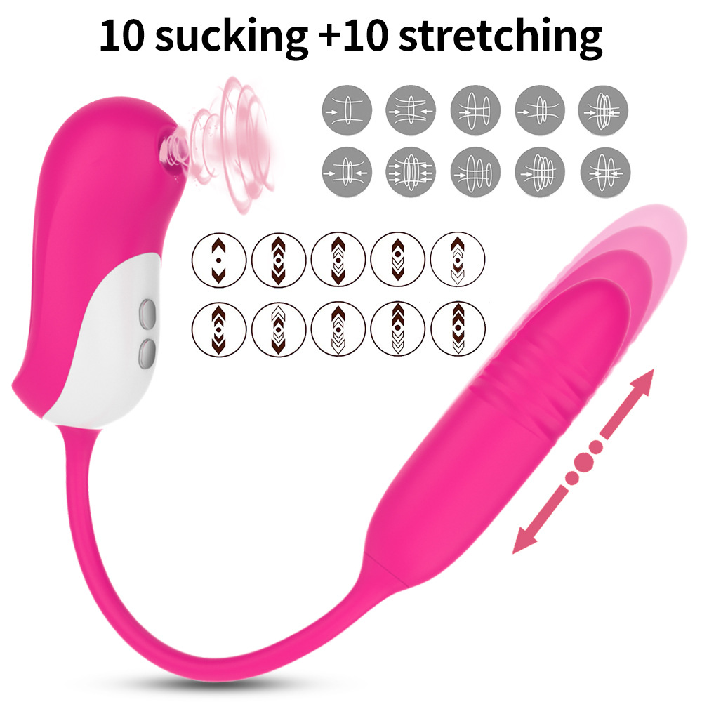 TD1090-1--Rechargeable Penguin Sucking Telescopic Vibrator Female Masturbation Massage Vibrator
