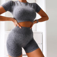 G2101--Thick version of seamless knitted fitness sports short-sleeved shorts yoga clothing set