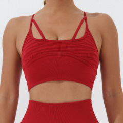 A23L090--Glossy Silk Athletic Seamless Yoga Sports Bra