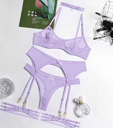 0048--New fashion sexy sexy lingerie mesh see-through temptation bra garter belt four-piece set